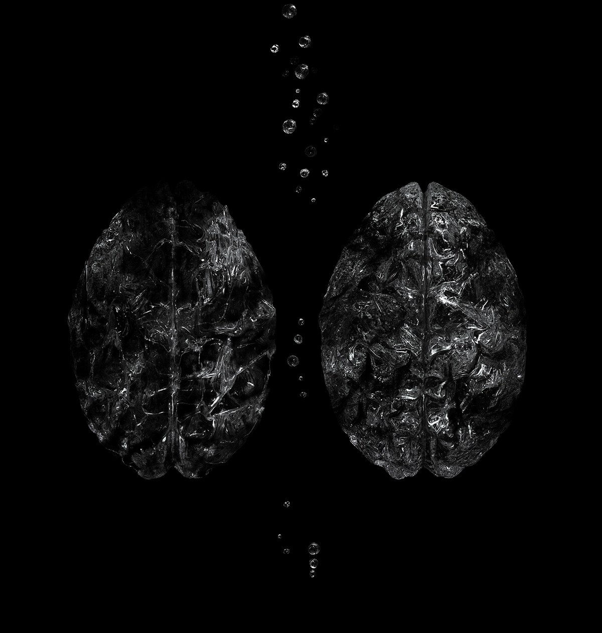 brain china head x ray Genes CGI 3D