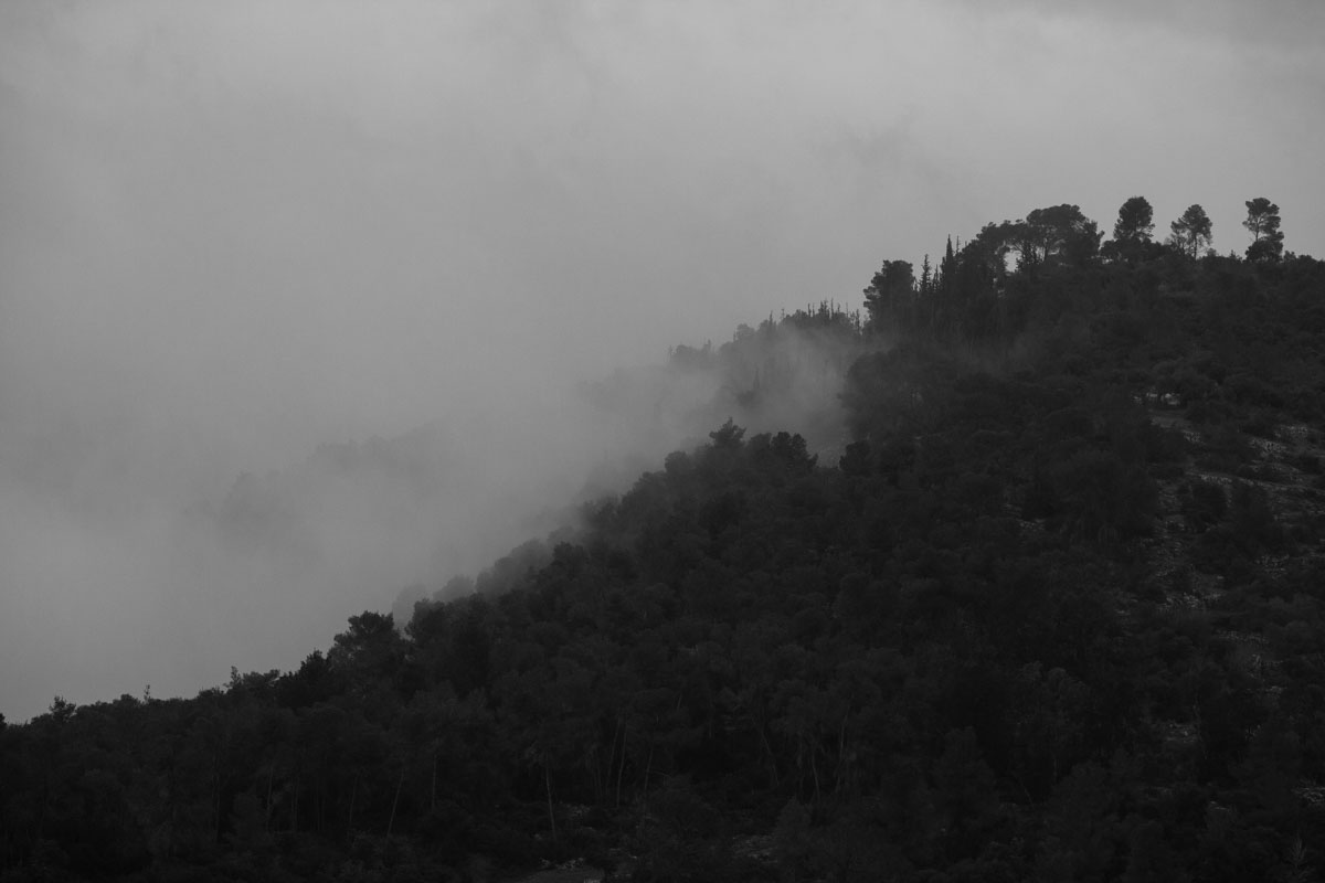 Nature black and white Monochromatic jerusalem weather foggy fog winter Victor Bezrukov