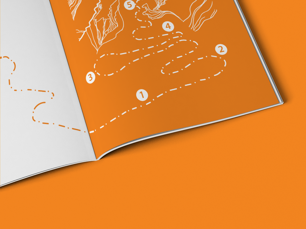 #brand #brandguidelines #illustration #illustrator #branding #photoshop #book #cover #coverart #handdrawing #graphicdesign #design #marketingagancy #logo #color #orange