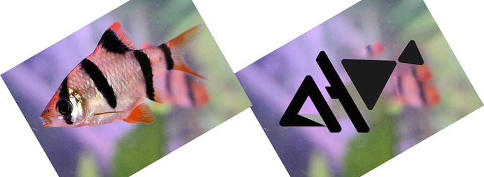 brand brand identity business card clean identity logo Logo Design logofolio minimal modern