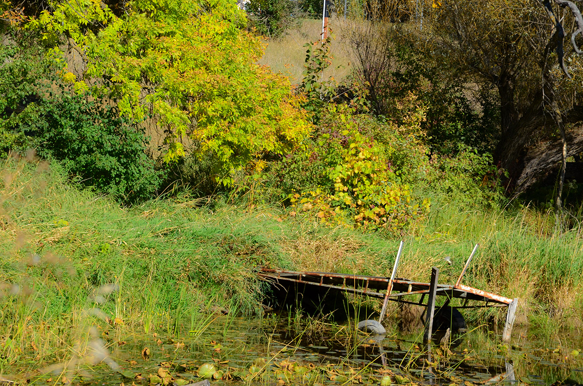 river minnesota Landscape Lilypad dock water blue autumn red leaves