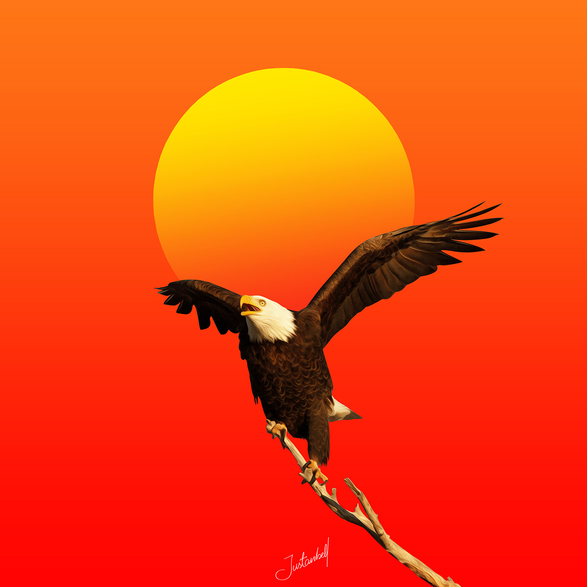 birds colours digital art gradients eagles SKY