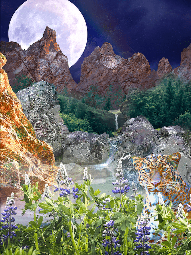 dreamscape gold mountains Landscape Nature Pool scenery Snow Leopard
