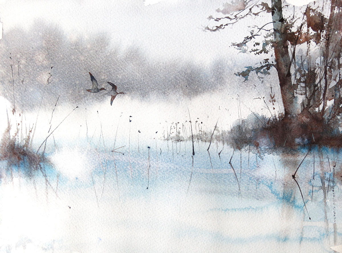 watercolor fog ducks