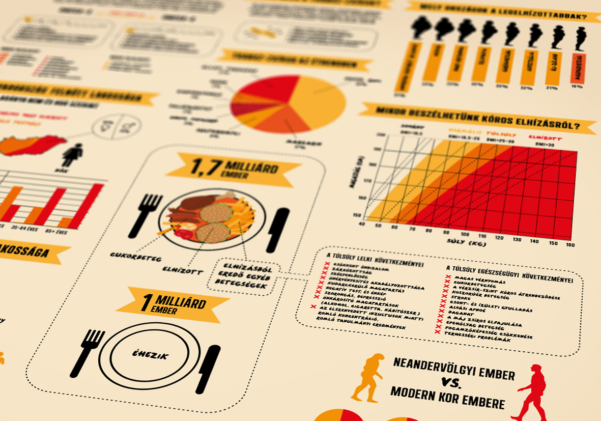 poster  infographic  obesity