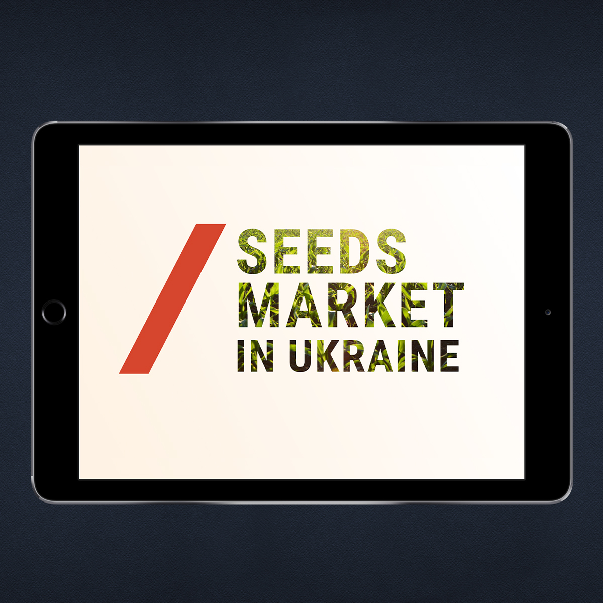 presentation agriculture ukraine b2b seeds