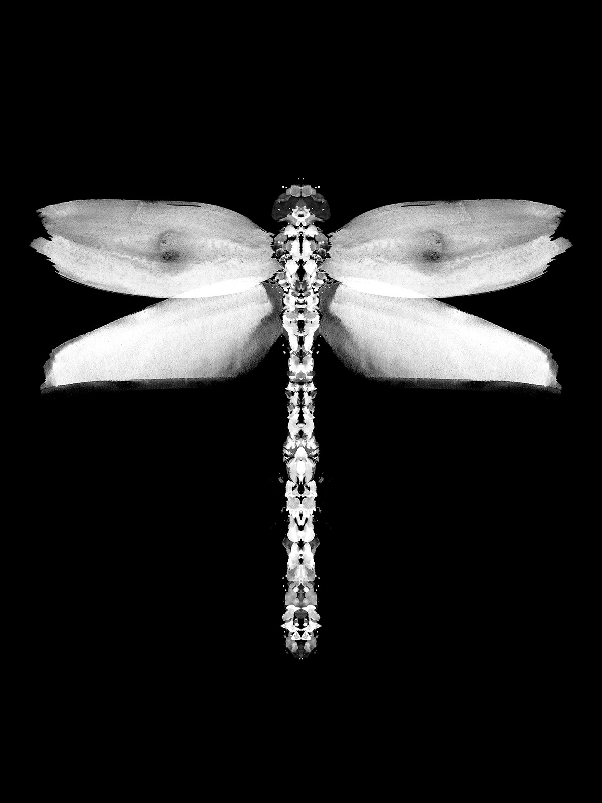 Mirrored art of a dragonfly.