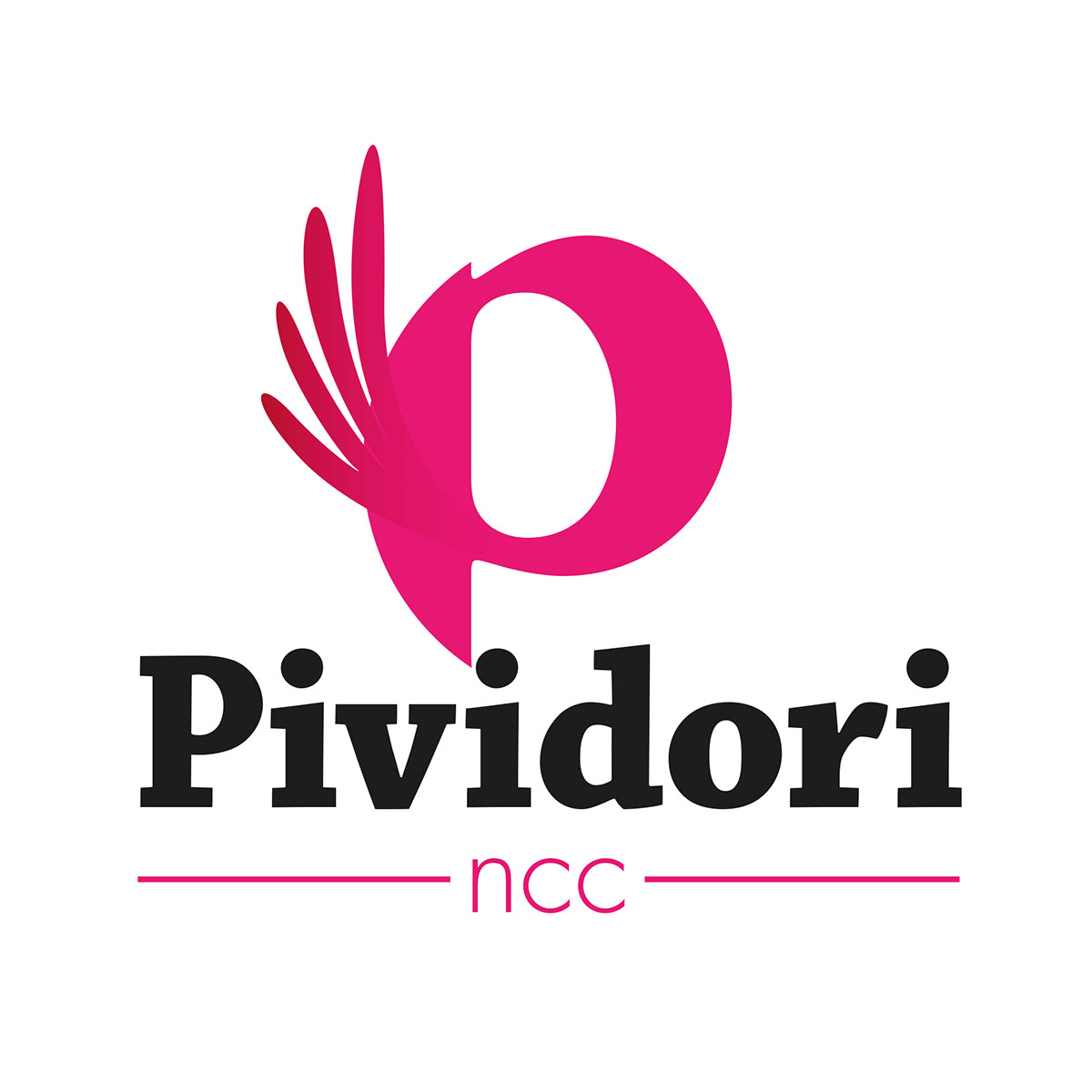 logo Transport Health pividori