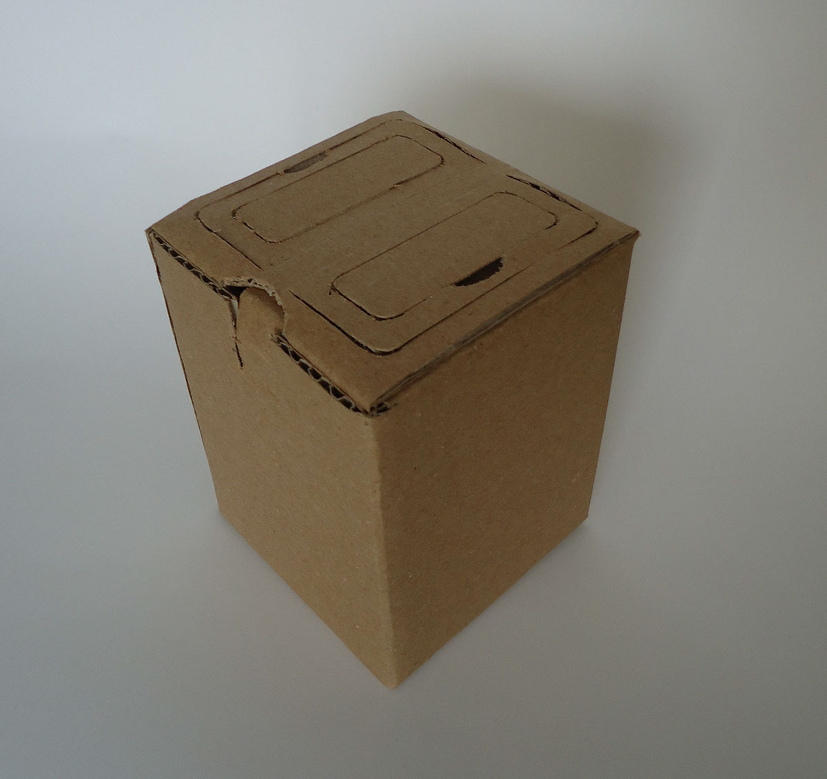 egg mail raw cardboard box egg mailer