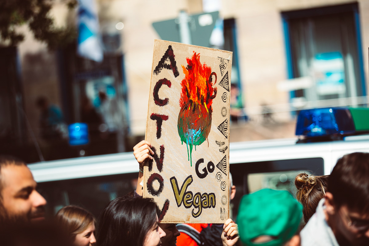 freebie images stock stockphotography protest download demonstration climate strike Global