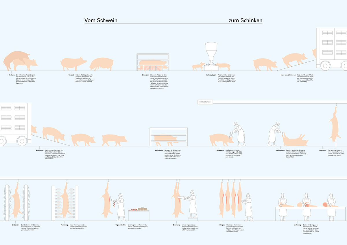 slaughter information design data visualisation Schweine Schlachtung