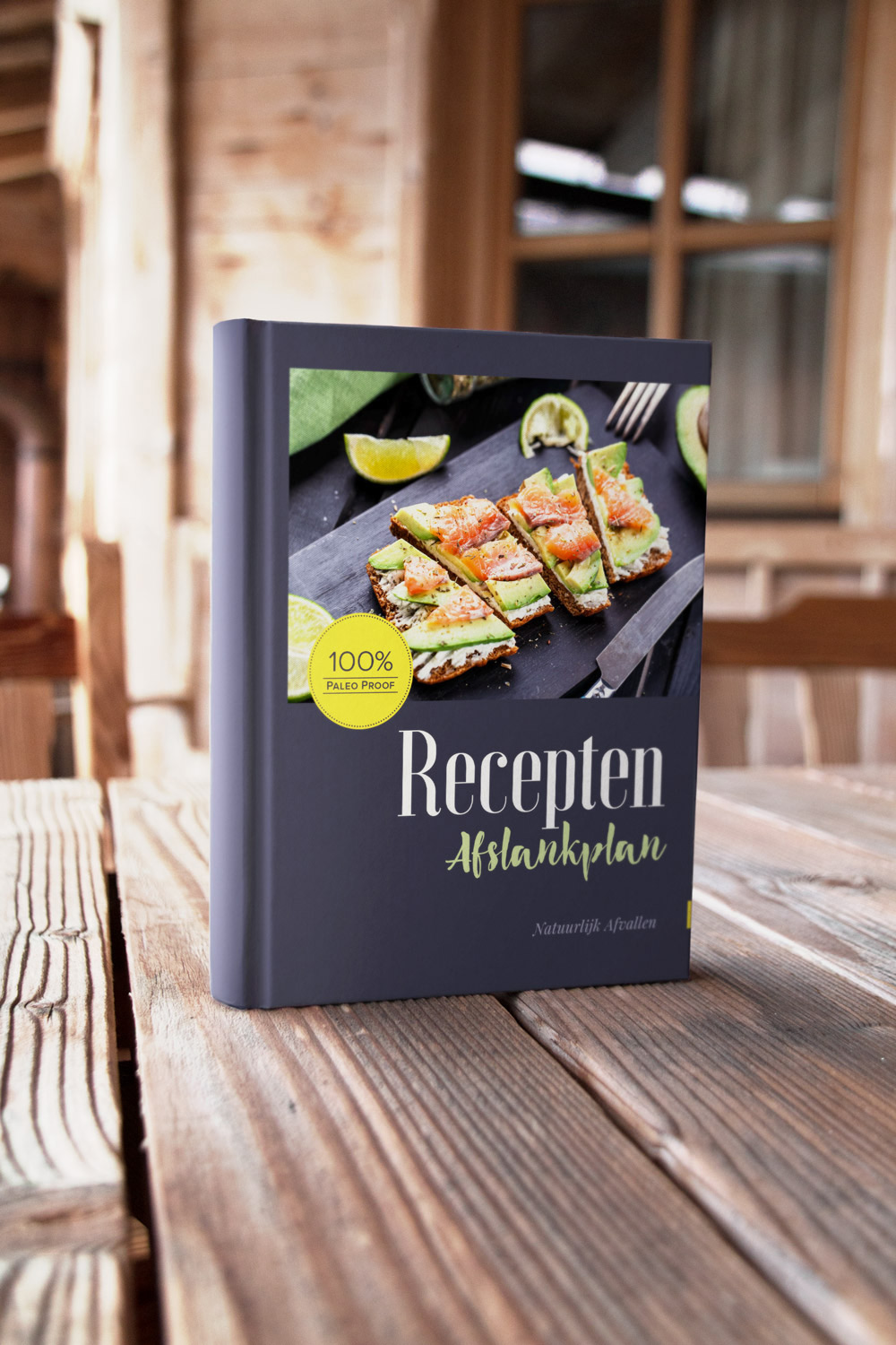 cookbook book cover recipe book ebook Health Layout