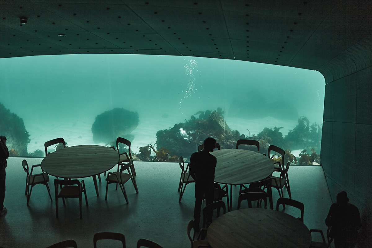 video architectural restaurant Food  food photography nordic design interior design  architecture sea