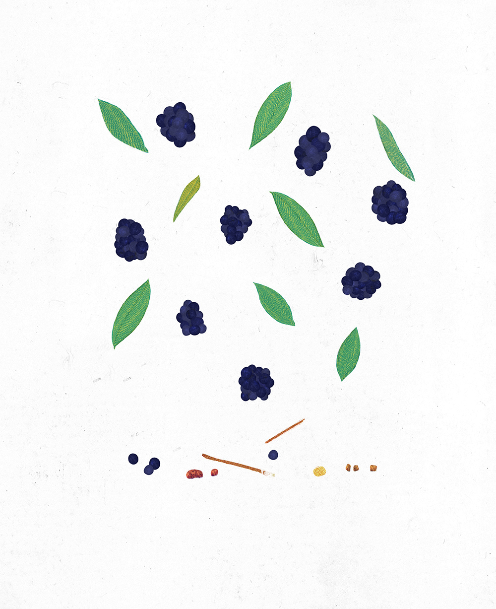 ygea υγαία packaging illustration Goji Berry  blueberry chokeberry Aronia walnut cranberry blackberry