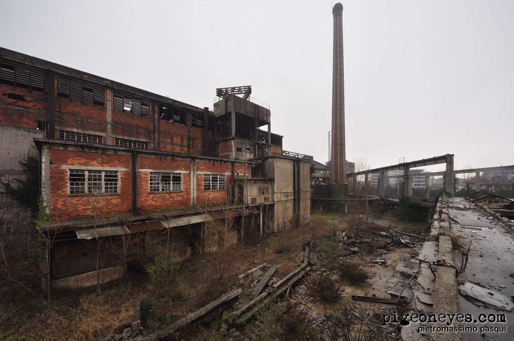 abandoned factory Italy Photography  pigeoneyes safau steel mill steelworks udine