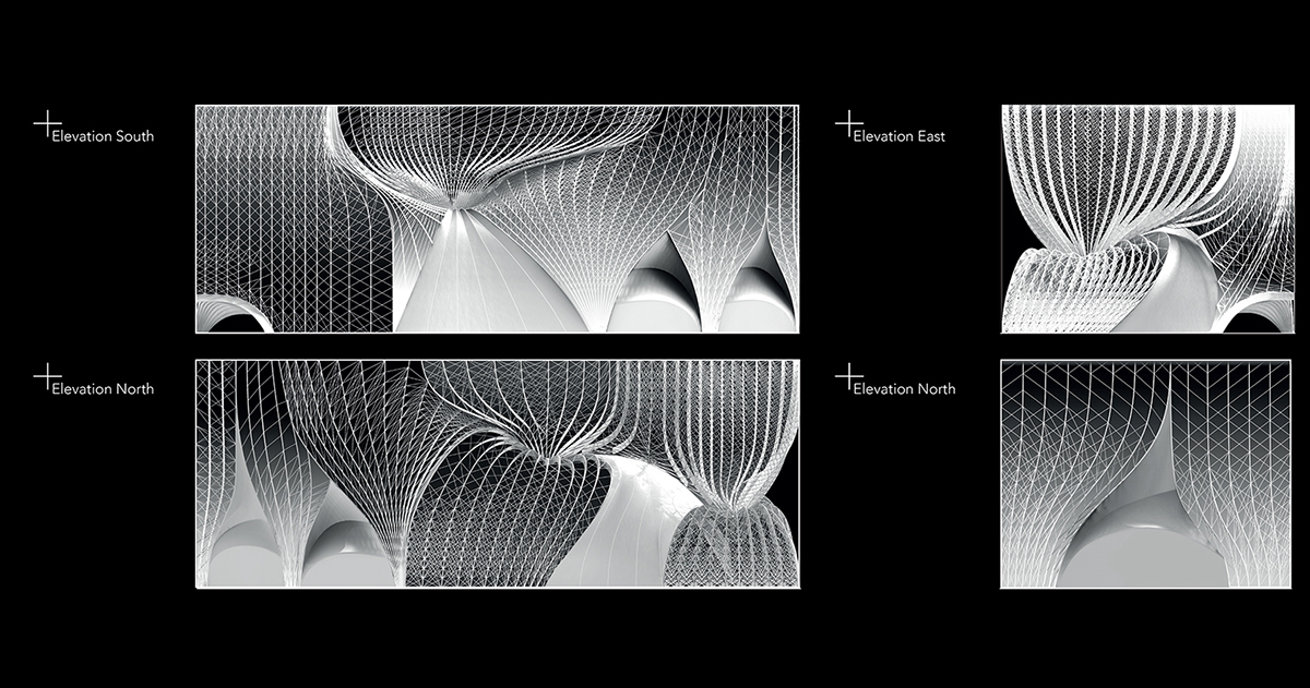 evolutionary ShellStructure shell tesselation Interior Structural articulation