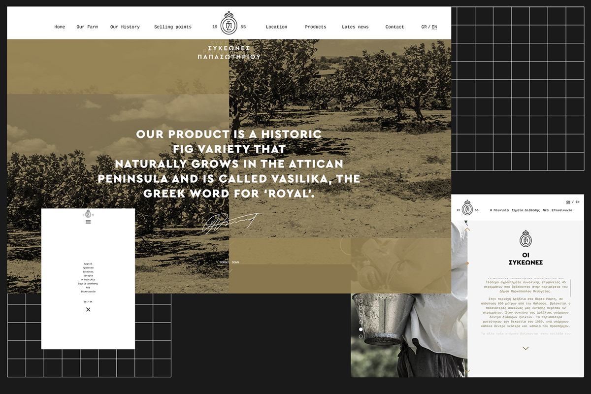 UI ux Responsive product greek balance web site Web Design  minimal Layout