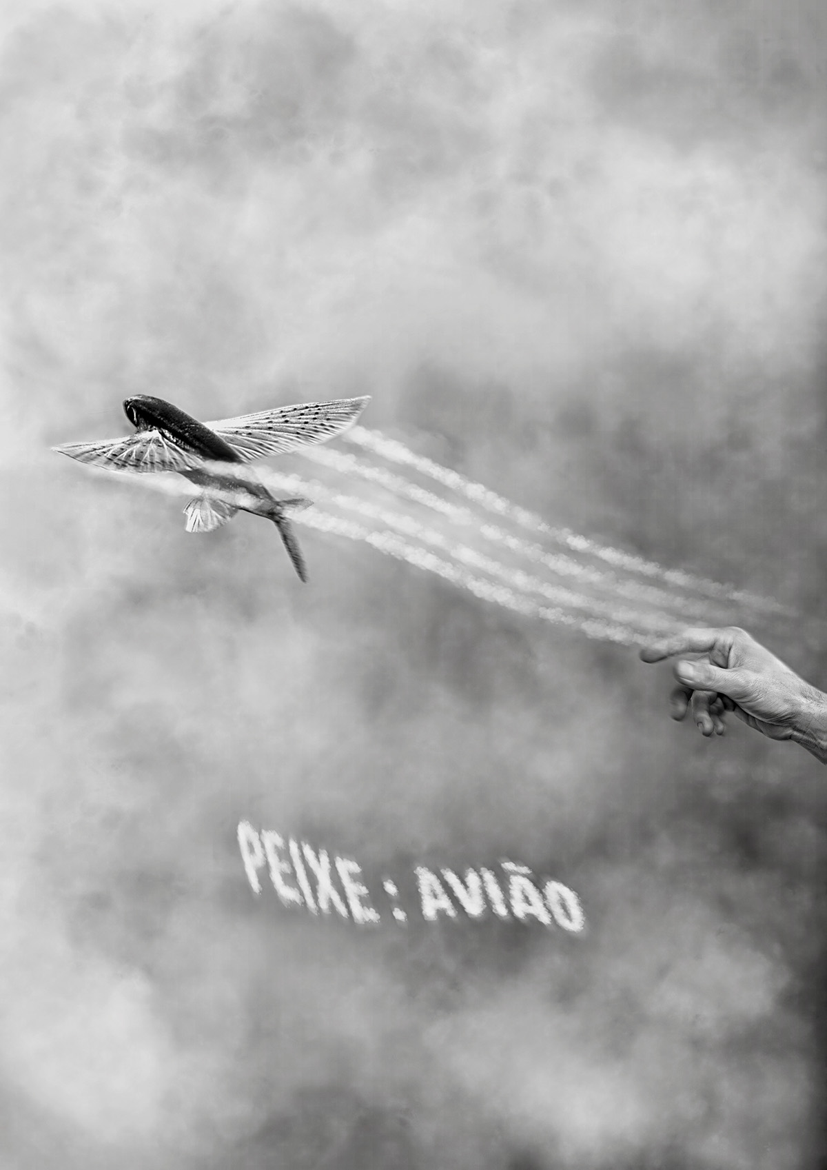 peixe Avião Portugal banda gig poster flying fish fish hand airplane Paper plane black and white collage plane clouds