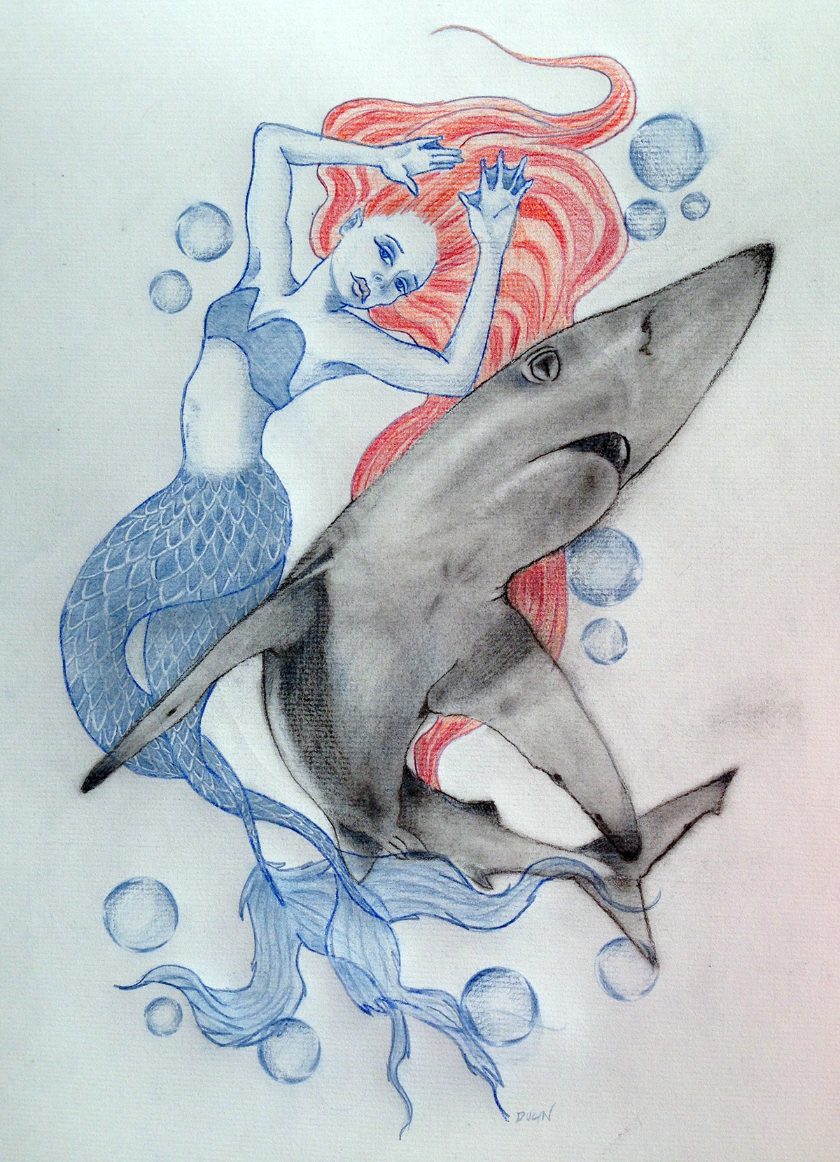 art shark Nature animal colored pencil mermaid artwork