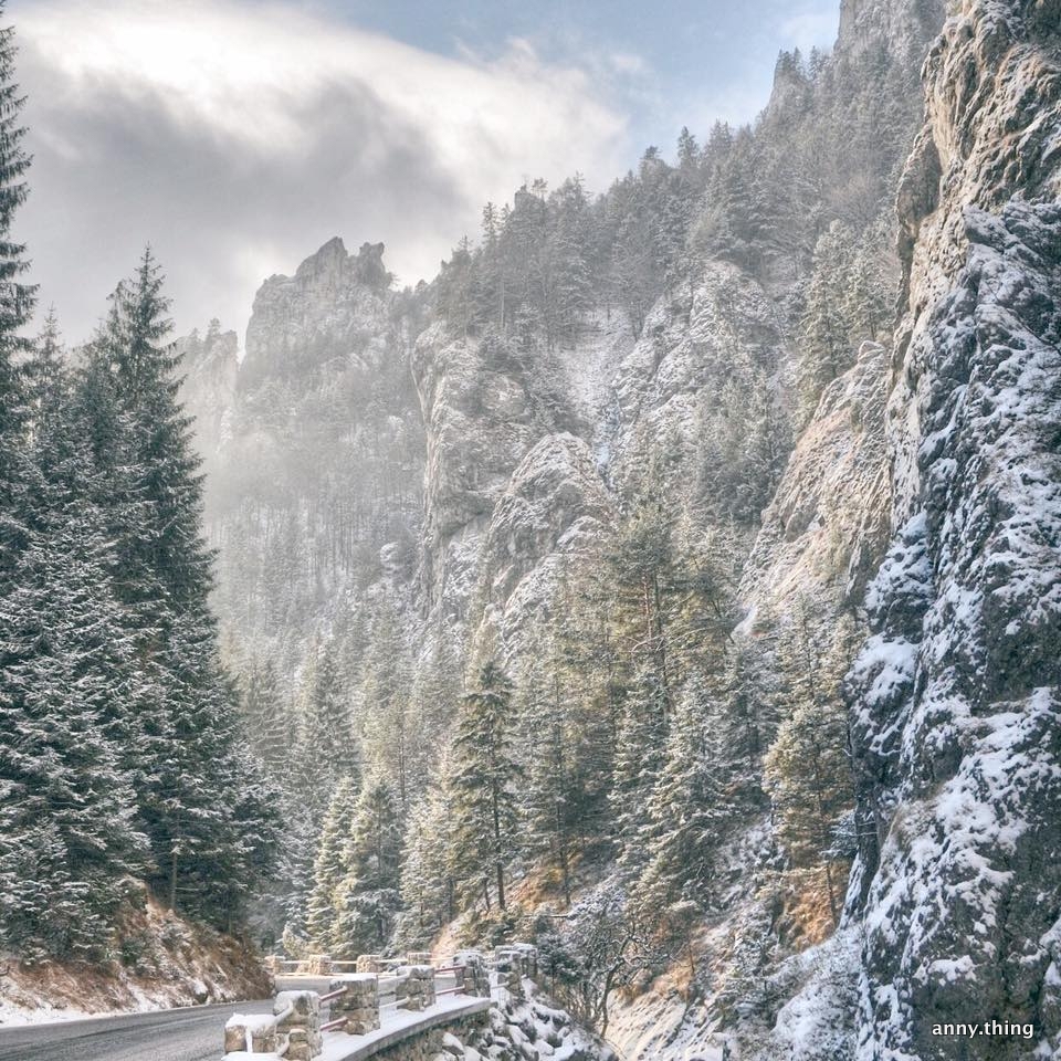winter snow Nature wild mountains slovakia slovensko countryside White forest rocks