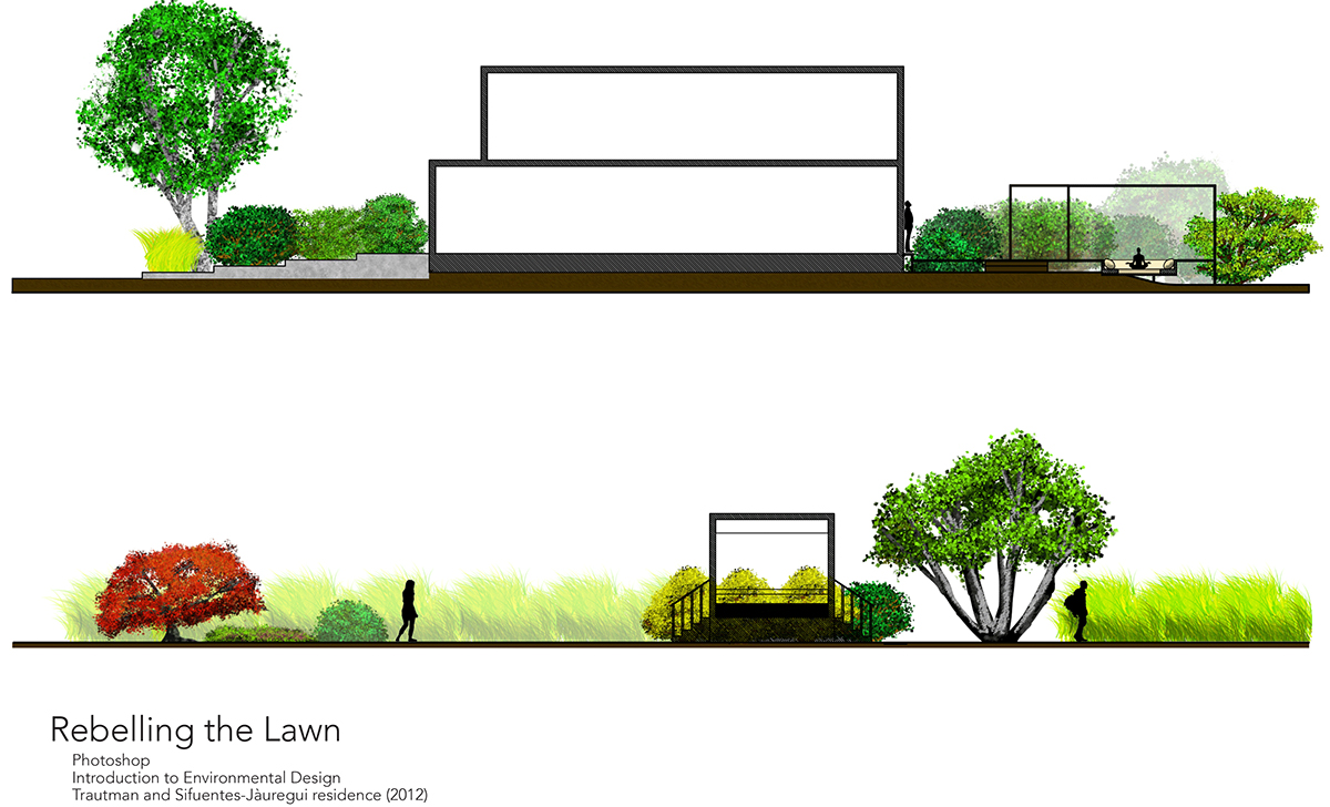 Landscape Architecture  lawn Residential Design Plan section watercolor