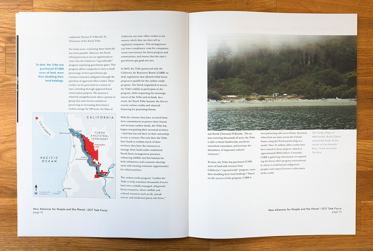 Adobe Portfolio case studies graphic design  print design  cartography nonprofit