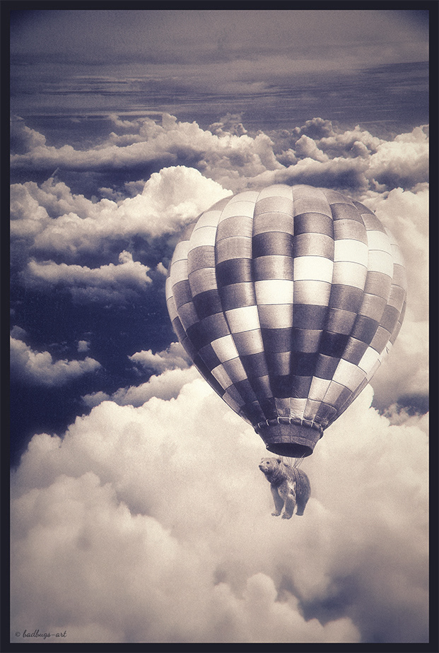 animals bear SKY baloon Fly cloud old HDR vintage