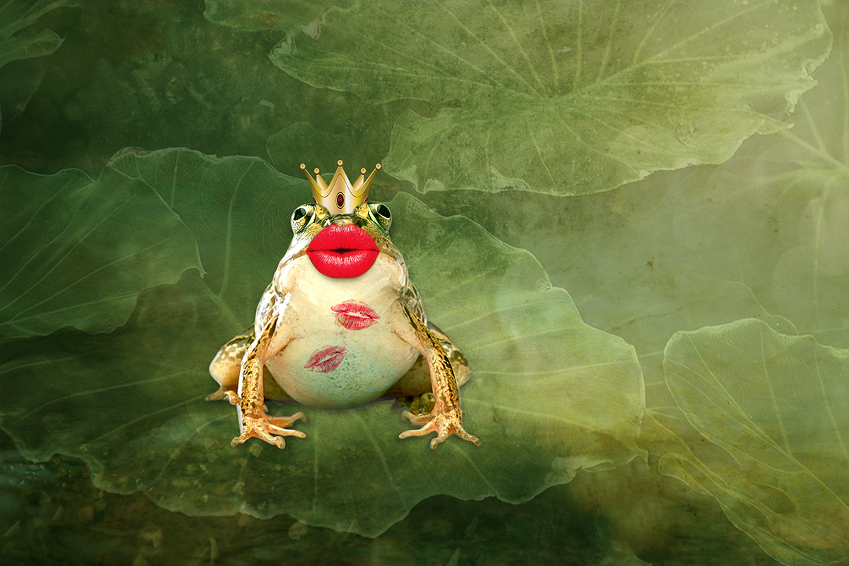 World Kiss Day frog crown kiss lips Fun