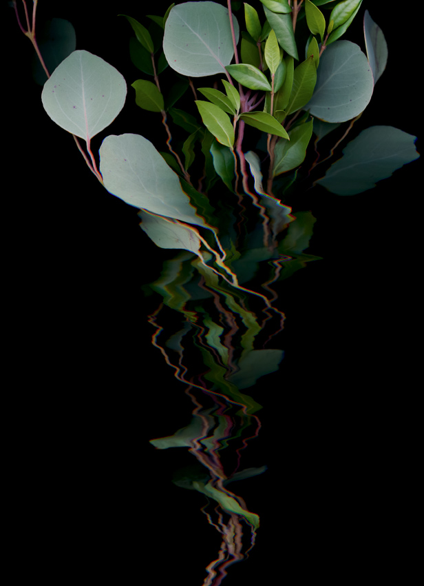 Nature Technology glitch art binarium scanner plants digital images minimal