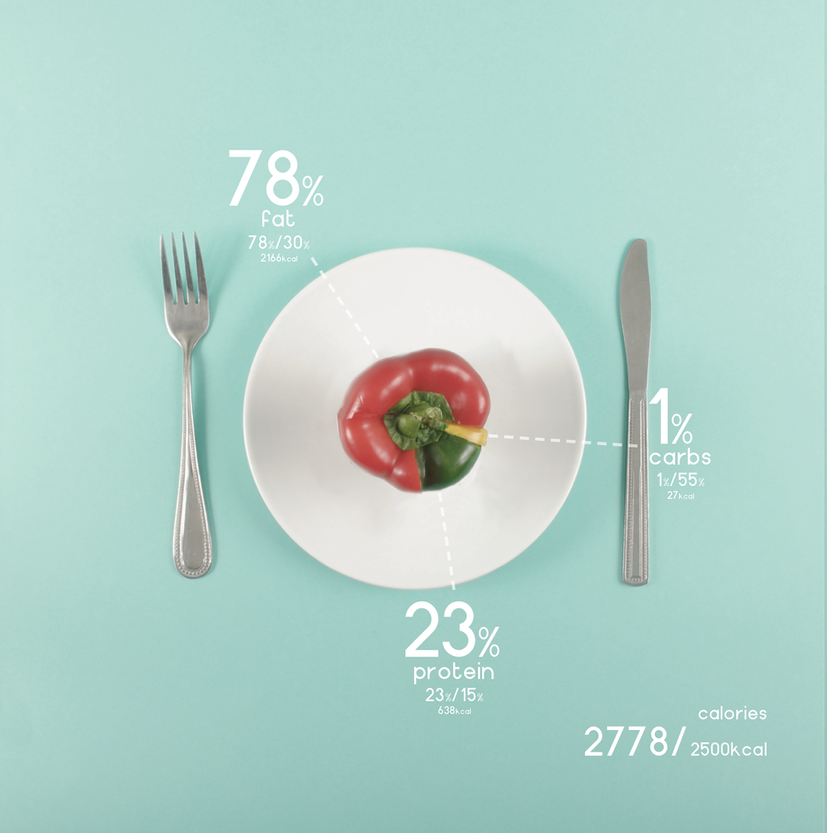 infographic Food  Data Bristol design diet uwe pie chart information photo student University
