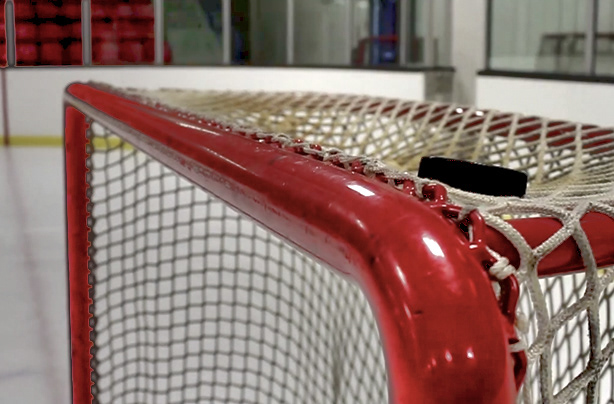 3d printing Rapid Prototyping Reverse Engineering Solidworks hockey NHL puck Skating