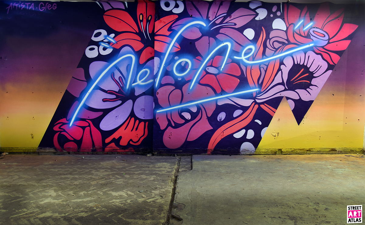 Graffiti Street Art  design spray paint Flowers neon acrylic Mural wall graffitiwall