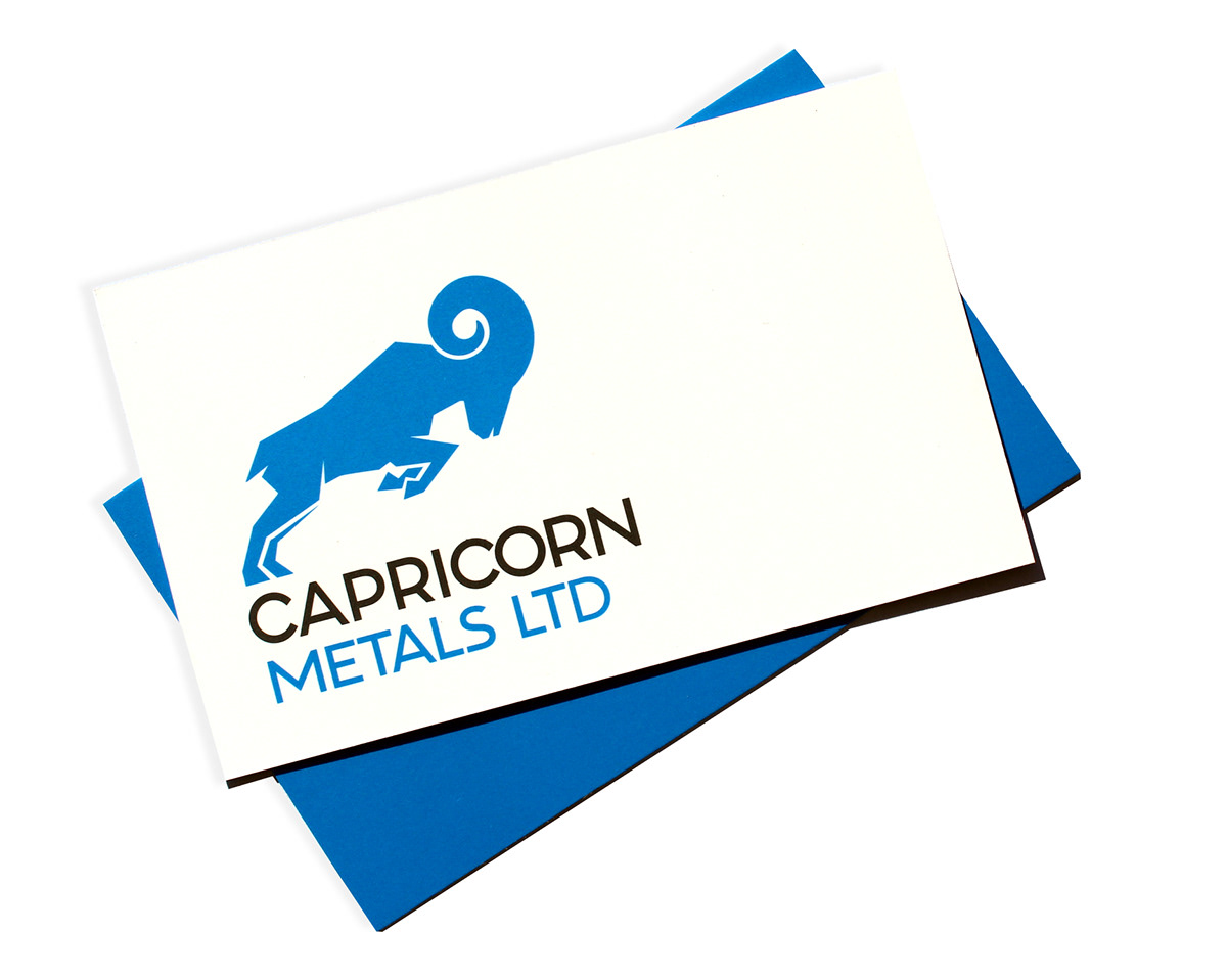 capricorn Corporate Identity Style Guide brand rollout Responsive web design ASX customised type colour palette brand guidelines logo ethos