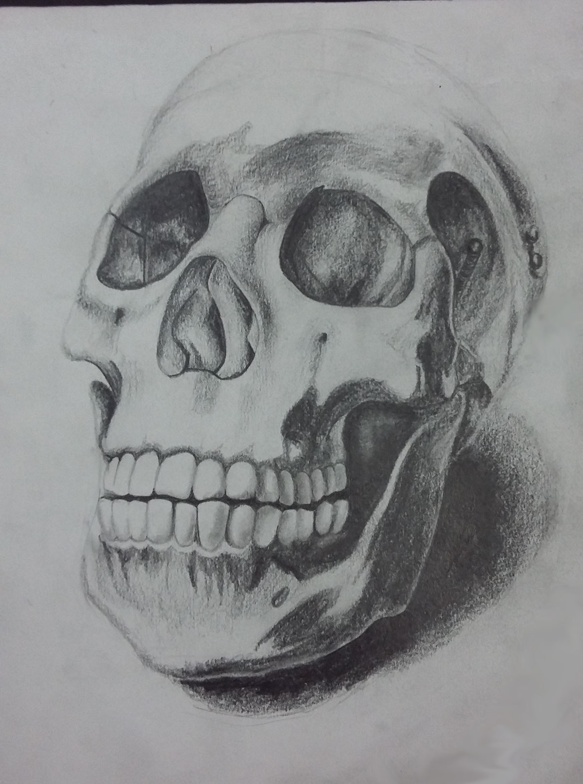sketching Ananya Behera skull observation study