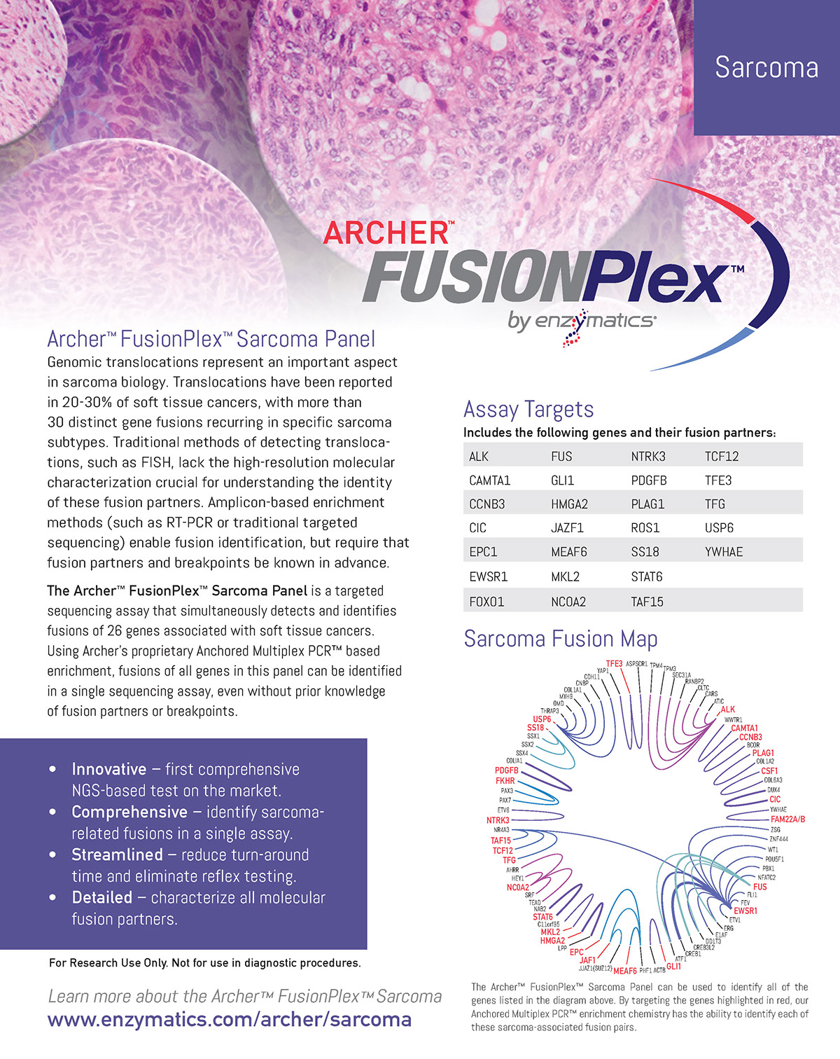 Logo Design product launch science Sales product design flyers Layout Imagery DNA fusion technical enzymatics Archer FusionPlex Archerdx