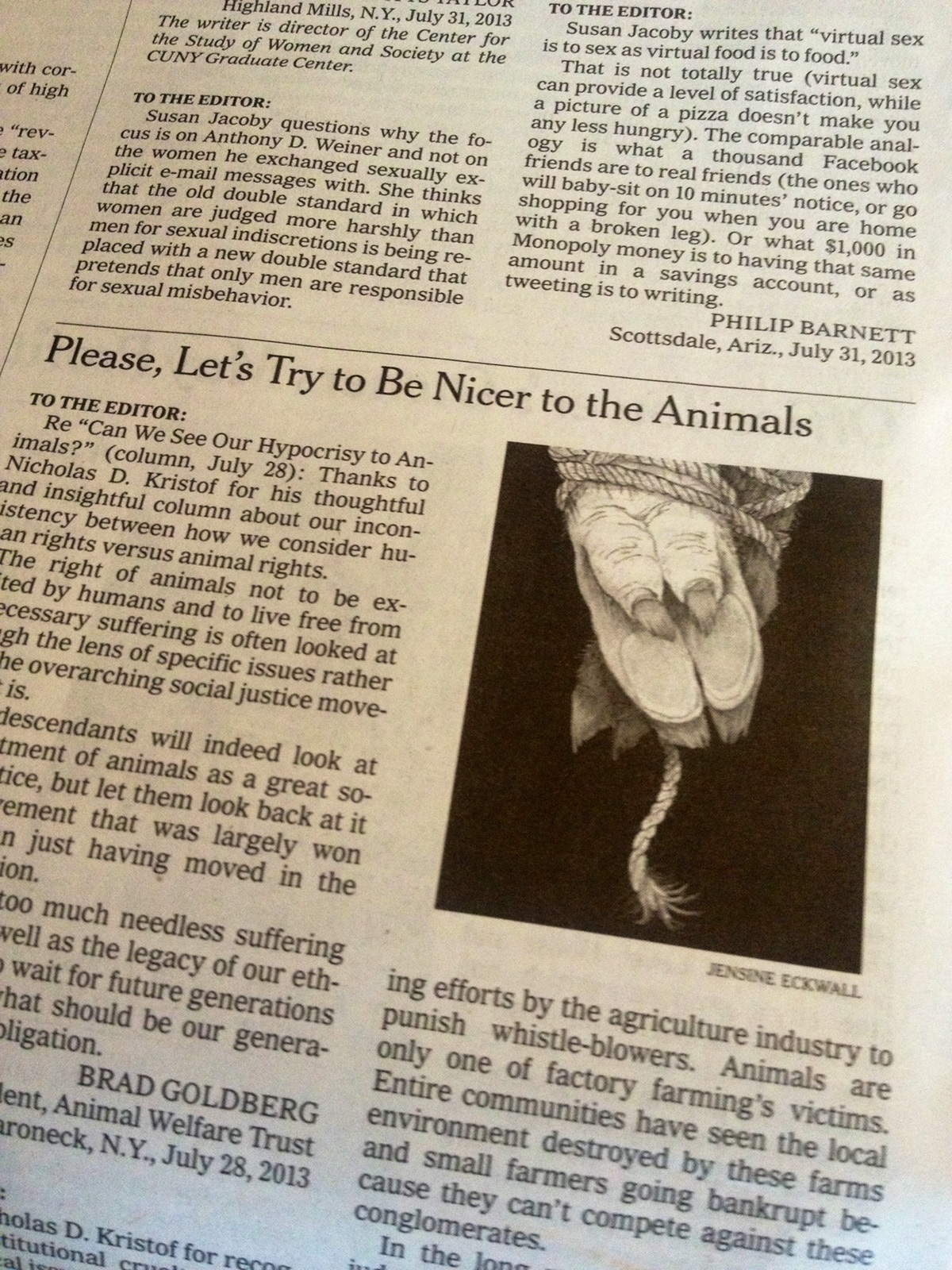 animal cruelty  new york times Factory Farming animal rights
