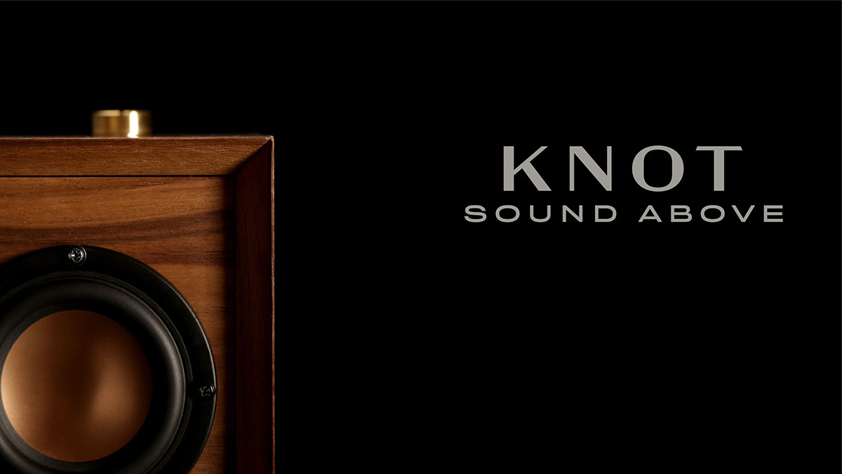 branding  brass designstudio insustrial design Logo Design product design  sound speaker walnut