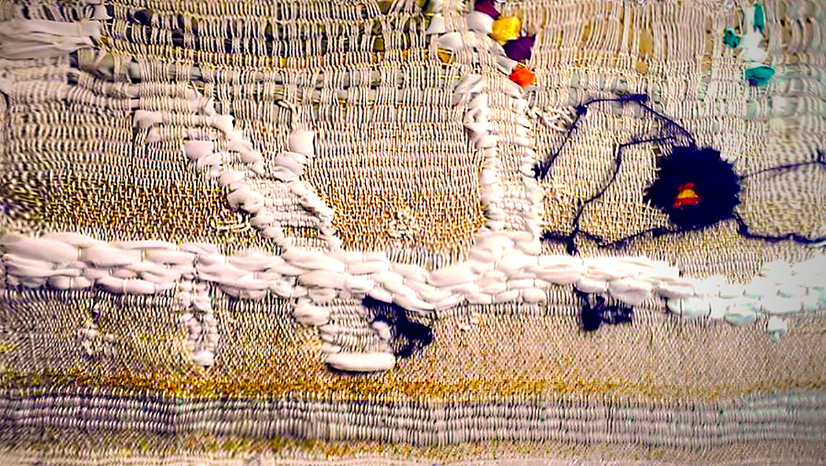 botanicula Lauren Kosta woven imagery Supplementary weft  fabric scraps macomber loom game imagery Textiles screenshot freeze frame