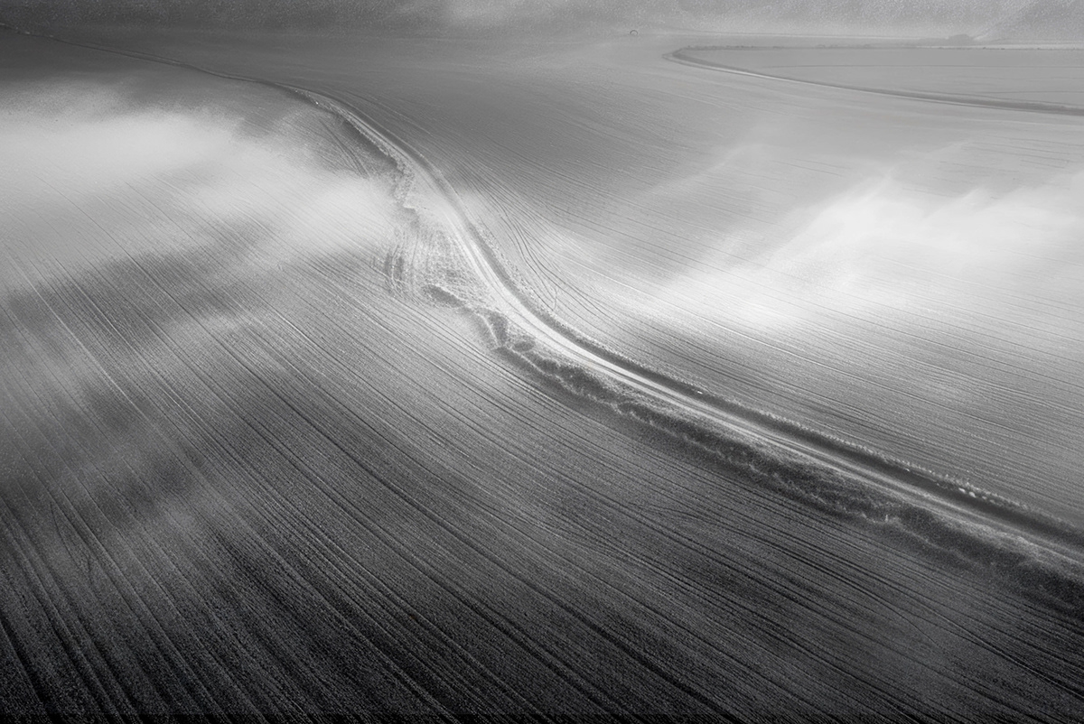 Landscape black and white monochrome Nature agriculture wheat farm farming bw