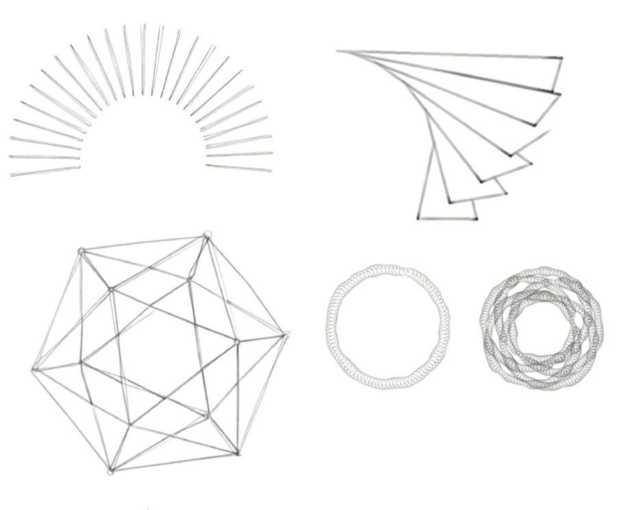 rebranding  phoenix  Illustration sketch  digital sketch  brand language