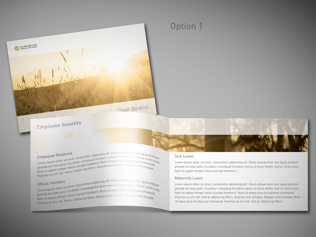 graphic design layout brochure