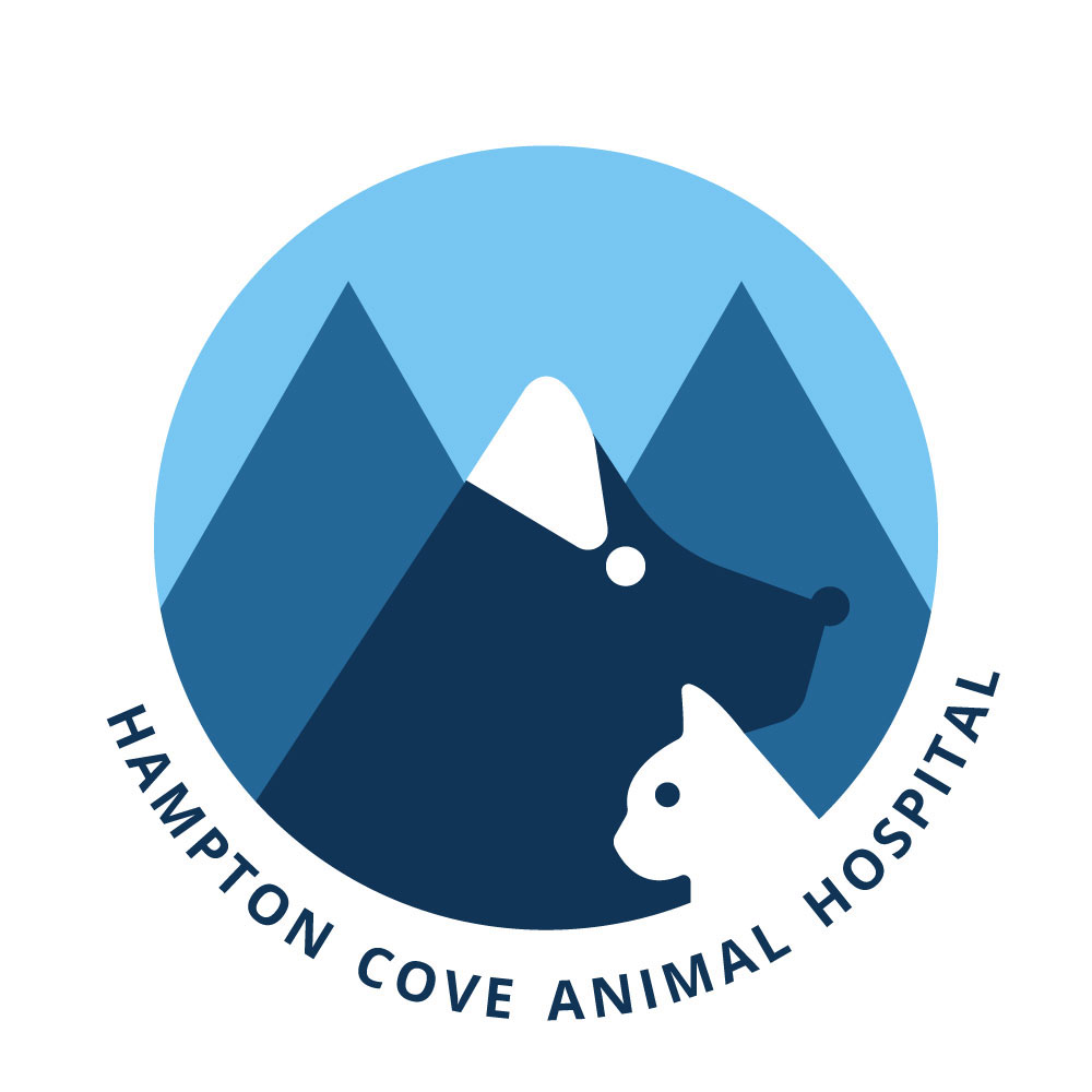 logodesign branding  thirty logos challenge hamton cove animal
