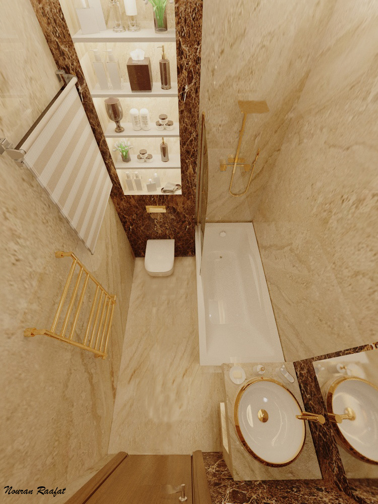 architecture design Interior luxurious bathrooms visualization