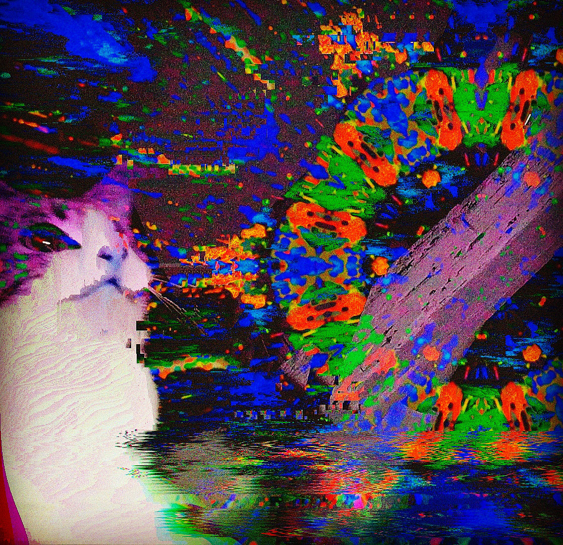 hard glitched colorful composition featuring a cat an shapes