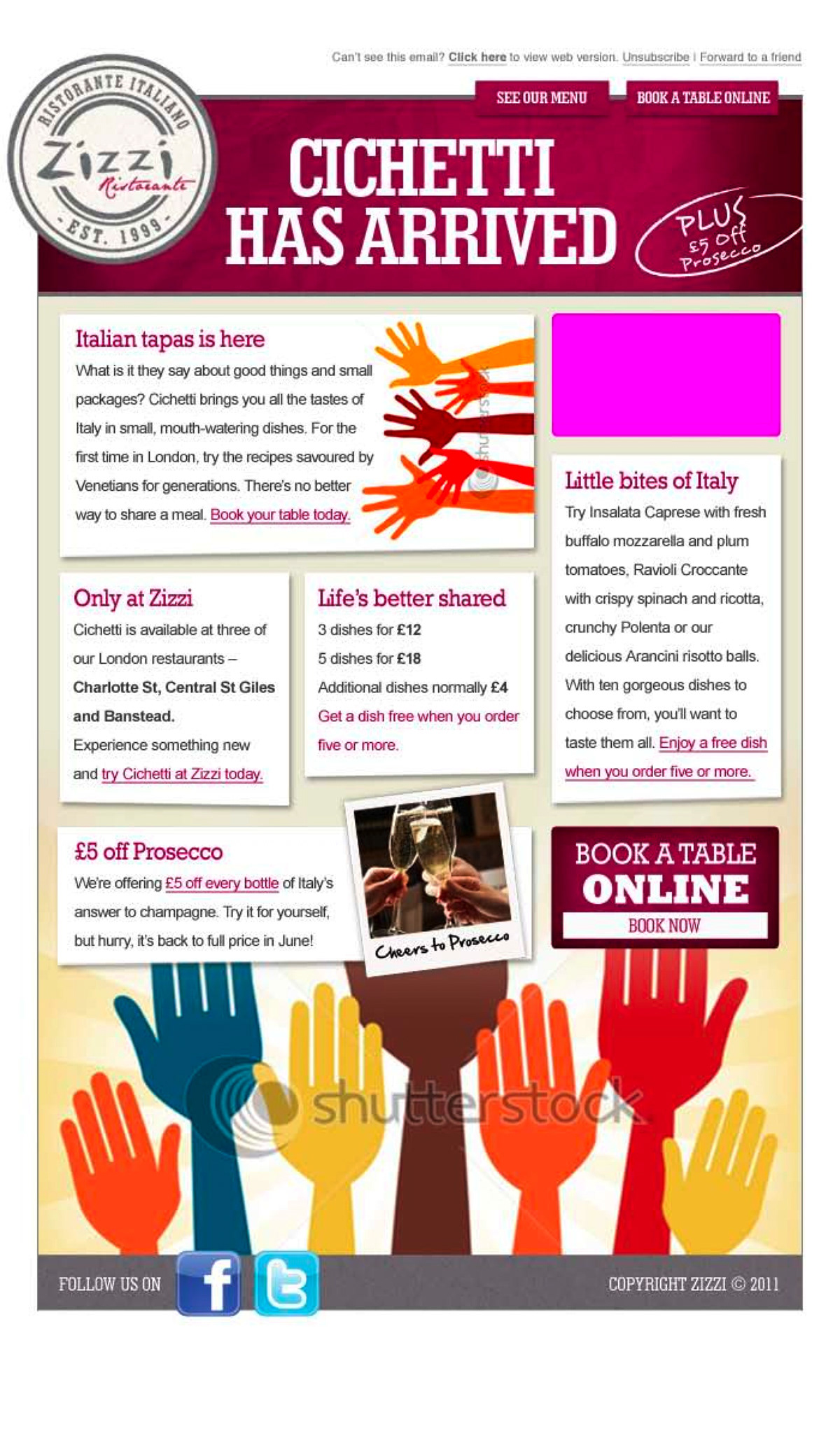 National newsletter marketing copy advertising copy promotional material Zizzi