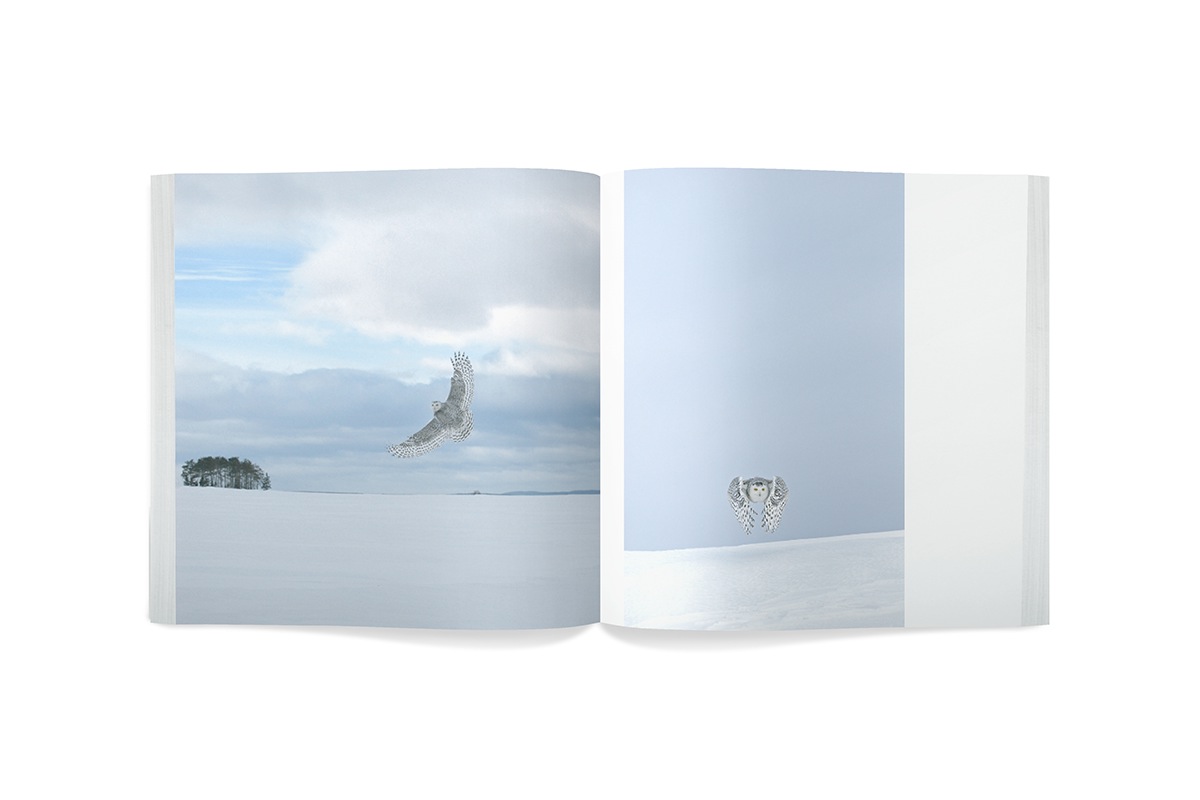 book publication pages InDesign Layout Nature animals world photographer White black coffeetablebook
