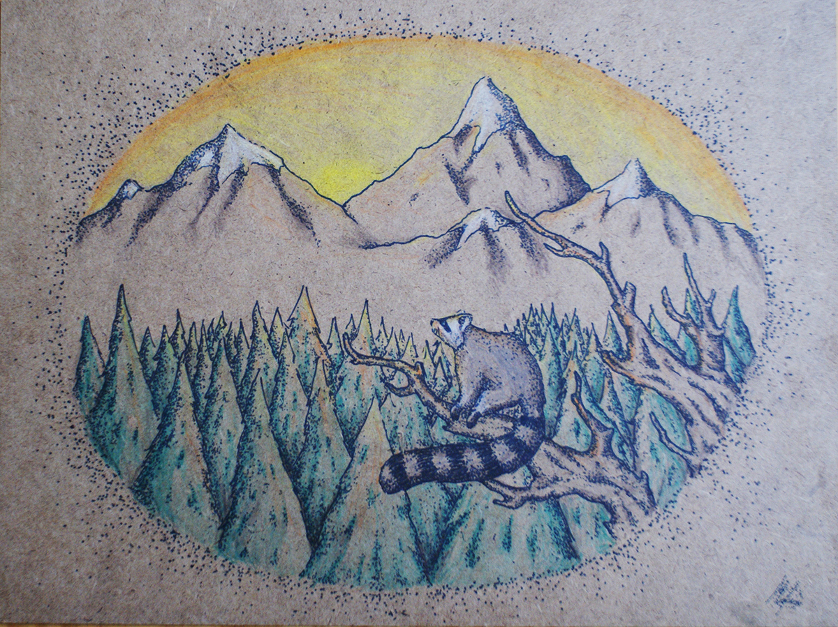 Youngforest forest ilustracion madera dibujo animals Nature fire color mountain green red zorro oso mapache