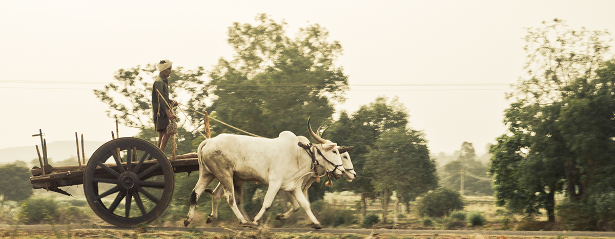 Travel photo documentary journey Street Transport rural people India