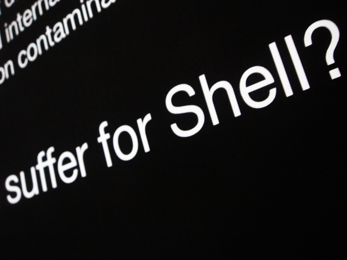 shell thousands animals