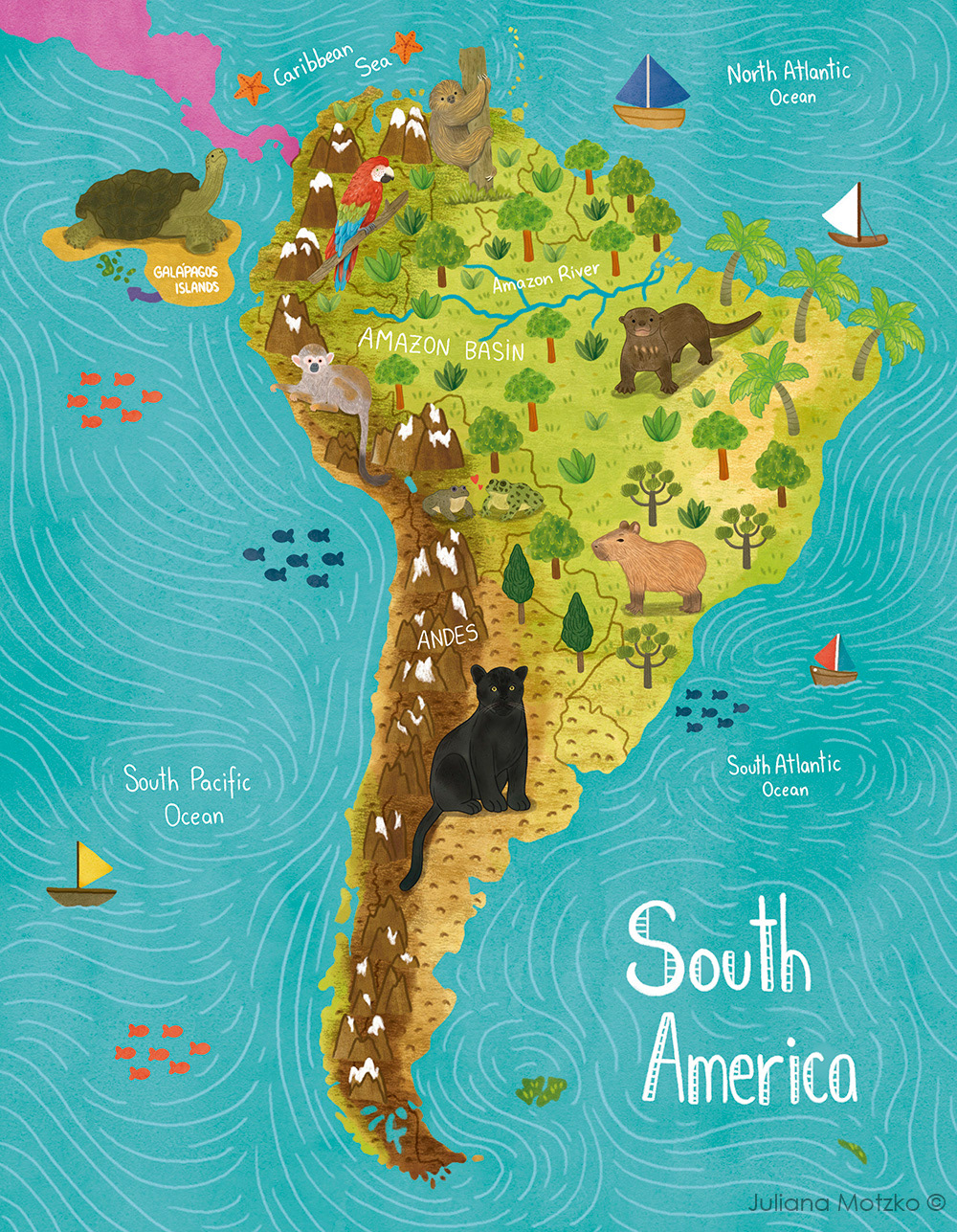 animals childrens book illustrated map ILLUSTRATION  infographic map non fiction book publishing   South America south america animals